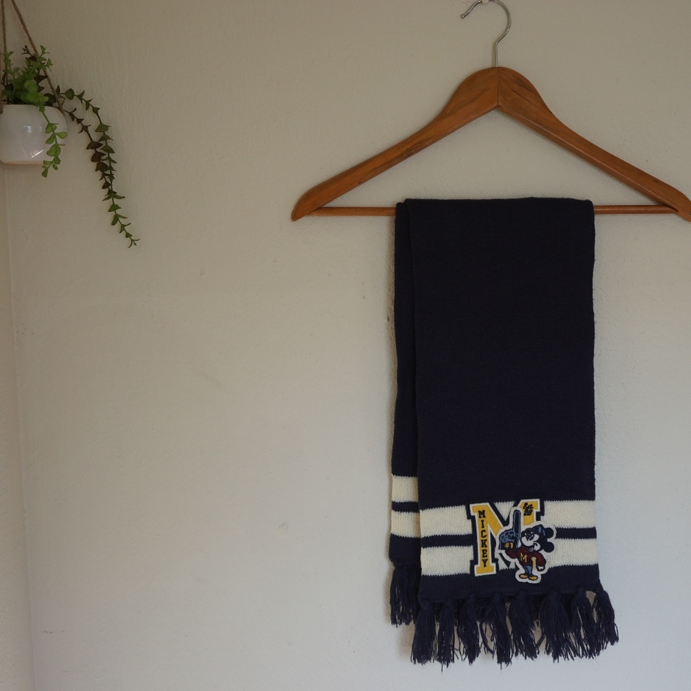 Disney's Park - Authentic Original Adult Scarf